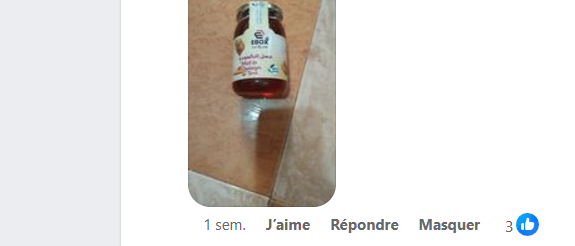 Capture d'écran 2024-11-21 105733